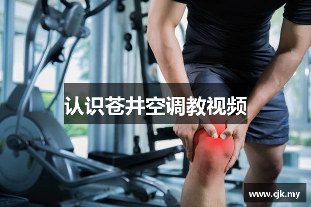 认识苍井空调教视频